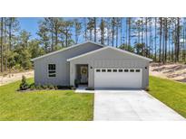 Charming one-story home featuring gray siding, a two-car garage, and a well-manicured lawn with a tree-lined background at 13264 Sw 69Th Pl, Ocala, FL 34481