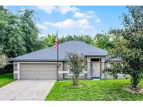 Charming single-story home with a well-manicured lawn and an attached two-car garage at 1113 Canopy Oaks Dr, Minneola, FL 34715