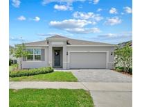Beautiful one-story home featuring well-manicured lawn, gray shutters and a two car garage with paved driveway at 4266 Wrangler Ln, Mascotte, FL 34753