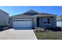 Charming single-story home with a two-car garage, landscaped front yard, and covered entry at 1274 Limbali St, Mount Dora, FL 32757