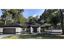 Charming single-story home featuring a well-manicured lawn and a two-car garage at 2313 Park Village Pl, Apopka, FL 32712
