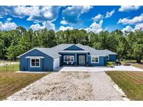 Charming single-story home with a blue exterior, well-maintained landscaping, and a spacious driveway at 1845 Springhead Dr, Deltona, FL 32725