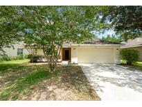 Charming single-story home with a well-maintained lawn, mature landscaping, and a two-car garage at 85 Levee Ln, Ormond Beach, FL 32174