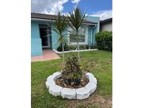 View of the front yard featuring a plant ring with two young palm trees at 976 Alicante Ave, Orlando, FL 32807