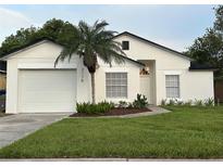 Charming single-story home featuring a well-manicured lawn, palm tree, and inviting front entrance at 2118 Donegan Pl, Orlando, FL 32826