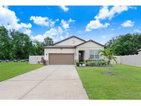 Charming single-story home with a well-manicured lawn and a two-car garage at 2491 Wadeview Loop, St Cloud, FL 34769