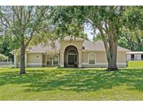Spacious home featuring arched entryway, circular windows, and mature trees at 19630 County Road 455, Clermont, FL 34715