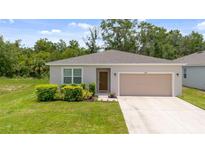Charming single-story home with a well-maintained lawn, lush landscaping, and a neutral color palette at 3984 Mayhill Loop, Eustis, FL 32736