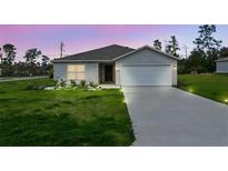 Charming single-story home with a well-manicured lawn and a spacious two-car garage at 2925 Sw 172Nd Lane Rd, Ocala, FL 34473