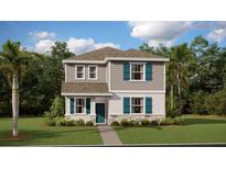 Charming two-story home featuring a modern exterior design with well-manicured landscaping and inviting entrance at 3017 Namaste Dr, Clermont, FL 34714