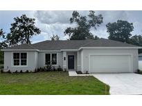 Charming single-story home with a gray roof, a freshly-poured white driveway, and a well-manicured lawn at 1889 15Th St, Orange City, FL 32763