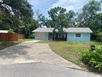 Charming single-story home with a long driveway and well-maintained lawn at 3695 Dale Ct, Mount Dora, FL 32757