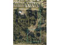 An aerial view shows the expansive lot in a partially wooded area, with other houses in the neighborhood visible at 5447 County Road 144, Wildwood, FL 34785