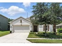 Charming single-story home featuring a two-car garage, neutral paint, and well-manicured landscaping at 2718 Limerick Cir, Grand Island, FL 32735