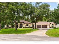 Wide angle shot of beautiful one story home with three car garage and long driveway at 25910 Timuquana Dr, Sorrento, FL 32776