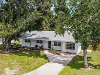 Charming single-story home with a well-manicured lawn, mature trees, and a welcoming front entrance at 904 15Th Ne St, Winter Haven, FL 33881