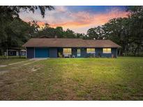 Charming single-story home with a vibrant blue exterior and well-maintained lawn at 15235 Se 63Rd Ave, Summerfield, FL 34491