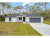 Charming single-story home featuring a gray roof and a well-manicured lawn at 4444 Sw 118 Ter, Ocala, FL 34481