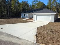 Newly constructed home with a two-car garage and a long driveway at 90 Bay Dr, Ocklawaha, FL 32179