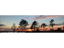 Scenic sunset view with silhouette of trees along the horizon at 547 Tanaro Ln, Haines City, FL 33844