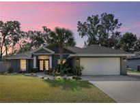 Charming single-story home with lush front yard and two-car garage beneath a colorful dusk sky at 8448 Se 161St St, Summerfield, FL 34491