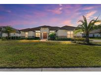 Spacious single-story home featuring manicured lawn, tropical palms, and neutral stucco with stone accents at 31771 Red Tail Blvd, Sorrento, FL 32776