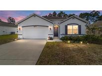 One-story home with a two-car garage and landscaping at 451 Hickory Course Loop, Ocala, FL 34472