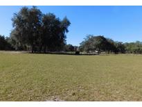 A view of the property showcasing a vast green field at 11064 Ne 212Th Ln, Fort Mc Coy, FL 32134