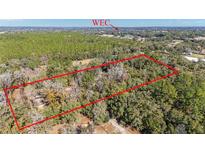 A sprawling, wooded property, outlined in red, offers privacy and natural beauty near the World Equestrian Center at 10249 Nw 21St St, Ocala, FL 34482