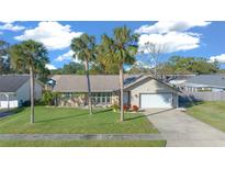 Single-story house with palm trees and a large yard at 772 Horseman Dr, Port Orange, FL 32127