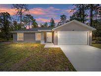 Newly built home with a two-car garage and a well-manicured lawn at 117 Nw Sparrow Rd, Dunnellon, FL 34431