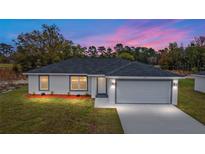 New single-story home with gray garage door and landscaped yard at 13814 Sw 100 Ln, Dunnellon, FL 34432