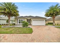 Single-story home with white garage door and palm trees at 5015 Belted Kingfisher Dr, Oxford, FL 34484