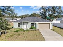 Charming single-story home featuring an attached two-car garage and well-maintained lawn at 4069 Sw 130Th Pl, Ocala, FL 34473