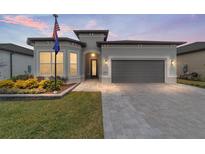 One-story home with gray exterior, two-car garage, and landscaped yard at 9229 Sw 52Nd Place Rd, Ocala, FL 34481