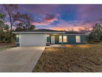 Newly constructed home with a green exterior, attached garage, and a small front yard at 53 Guava Pl, Ocklawaha, FL 32179