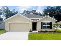 Charming single-story home featuring a two-car garage, neutral stucco, a dark front door, and manicured landscaping at 10012 Se 161St Lane Rd, Summerfield, FL 34491