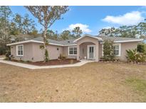 Single-story house with a light brown exterior, landscaping, and walkway at 18300 Sw 69 Loop, Dunnellon, FL 34432