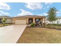 One-story home with attached garage and landscaped front yard at 9958 Sw 97Th Ln, Ocala, FL 34481