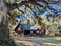 Rustic log cabin nestled under majestic oak trees at 9100 Se 180Th Avenue Rd, Ocklawaha, FL 32179