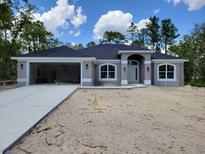 Charming single-story home with a modern design, two-car garage, and inviting front entrance at 6915 Sw 152Nd St, Ocala, FL 34473