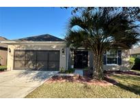 Charming single-story home featuring a two-car garage and a well-maintained lawn at 7387 Sw 99Th Ct, Ocala, FL 34481