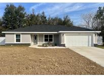 Newly constructed one-story home with gray exterior, white garage door, and landscaping at 14351 Se 34Th Ct, Summerfield, FL 34491