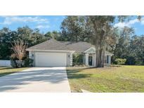 One-story house with light blue exterior, attached garage, and landscaped yard at 302 Brookstone Ln, Fruitland Park, FL 34731