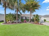 White house with palm trees, landscaped lawn, and a paved driveway at 3710 Fir St, The Villages, FL 32163