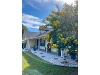 House with yellow siding, blue shutters, and beautiful flowering trees at 4360 Se 62Nd St, Ocala, FL 34480