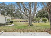 Spacious backyard with pond view and large oak tree at 1314 Noble Ct, Leesburg, FL 34788