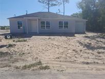 Charming one-story home with a simple design, featuring a neutral color palette and a well-lit exterior at 1 Fisher Lane Way, Ocklawaha, FL 32179