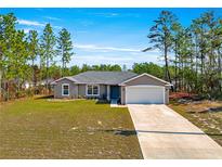 Charming single-story home with a well-manicured lawn and attached two-car garage surrounded by tall trees at 13057 Sw 85Th Cir, Ocala, FL 34473