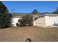 Charming single-story home with a well-maintained lawn, covered front entrance, and attached garage at 61 Pecan Drive Loop, Ocala, FL 34472